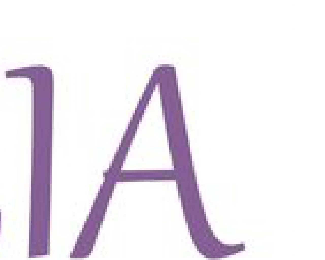 Sorties en mer en catamaran avec Voglia di Mare Sorties en mer en catamaran avec Voglia di Mare